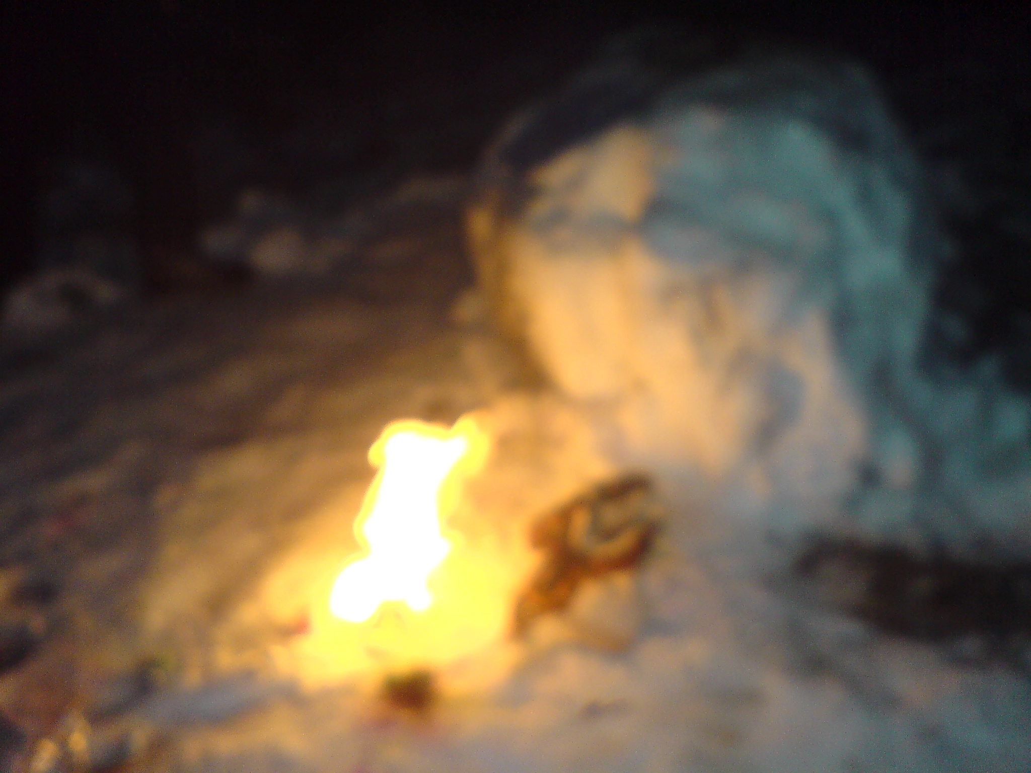 DSC01796.JPG